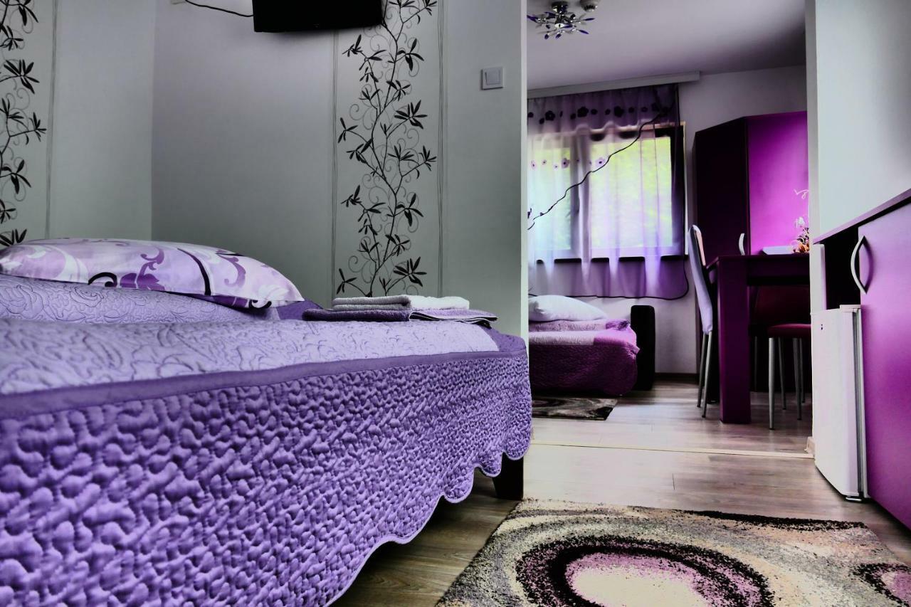 Hotel Pensiunea Roua Florilor Anina Esterno foto