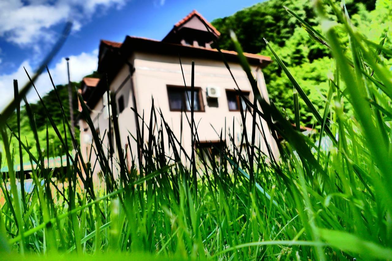 Hotel Pensiunea Roua Florilor Anina Esterno foto