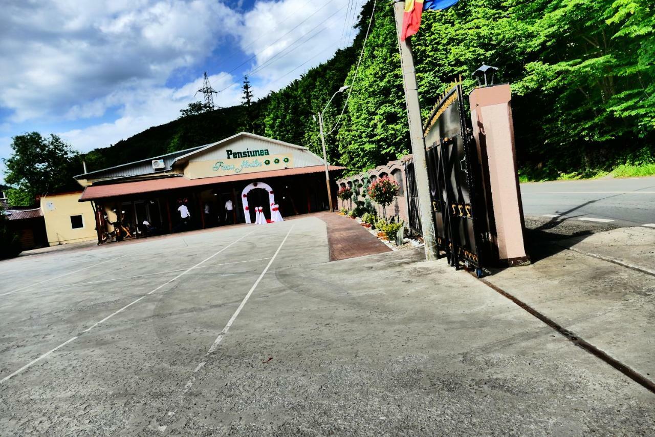 Hotel Pensiunea Roua Florilor Anina Esterno foto