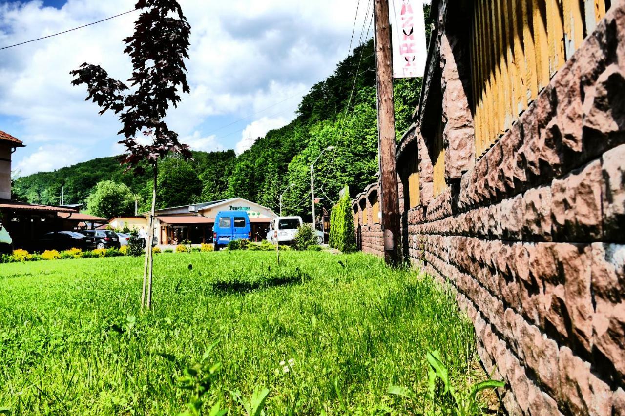 Hotel Pensiunea Roua Florilor Anina Esterno foto