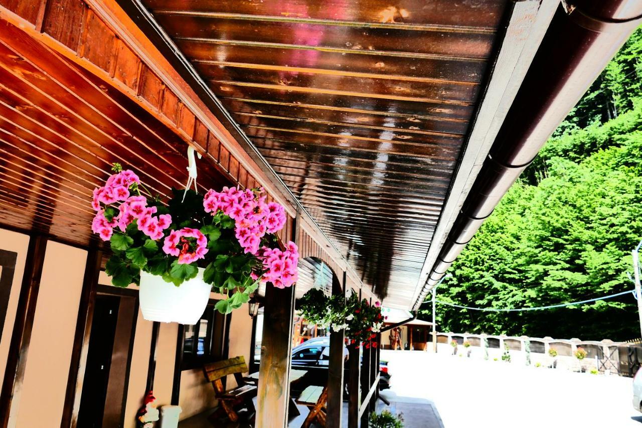 Hotel Pensiunea Roua Florilor Anina Esterno foto