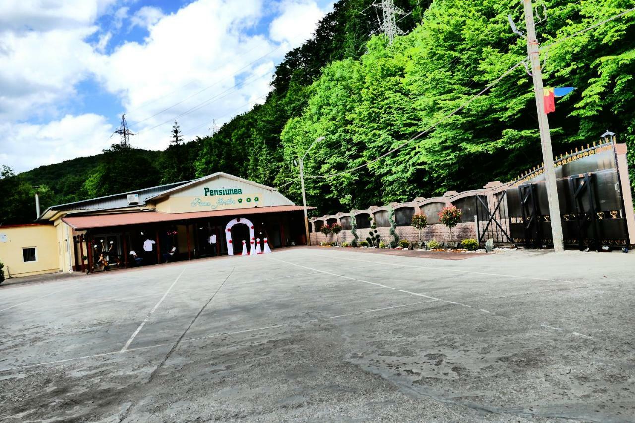 Hotel Pensiunea Roua Florilor Anina Esterno foto