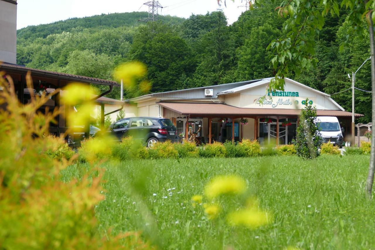 Hotel Pensiunea Roua Florilor Anina Esterno foto